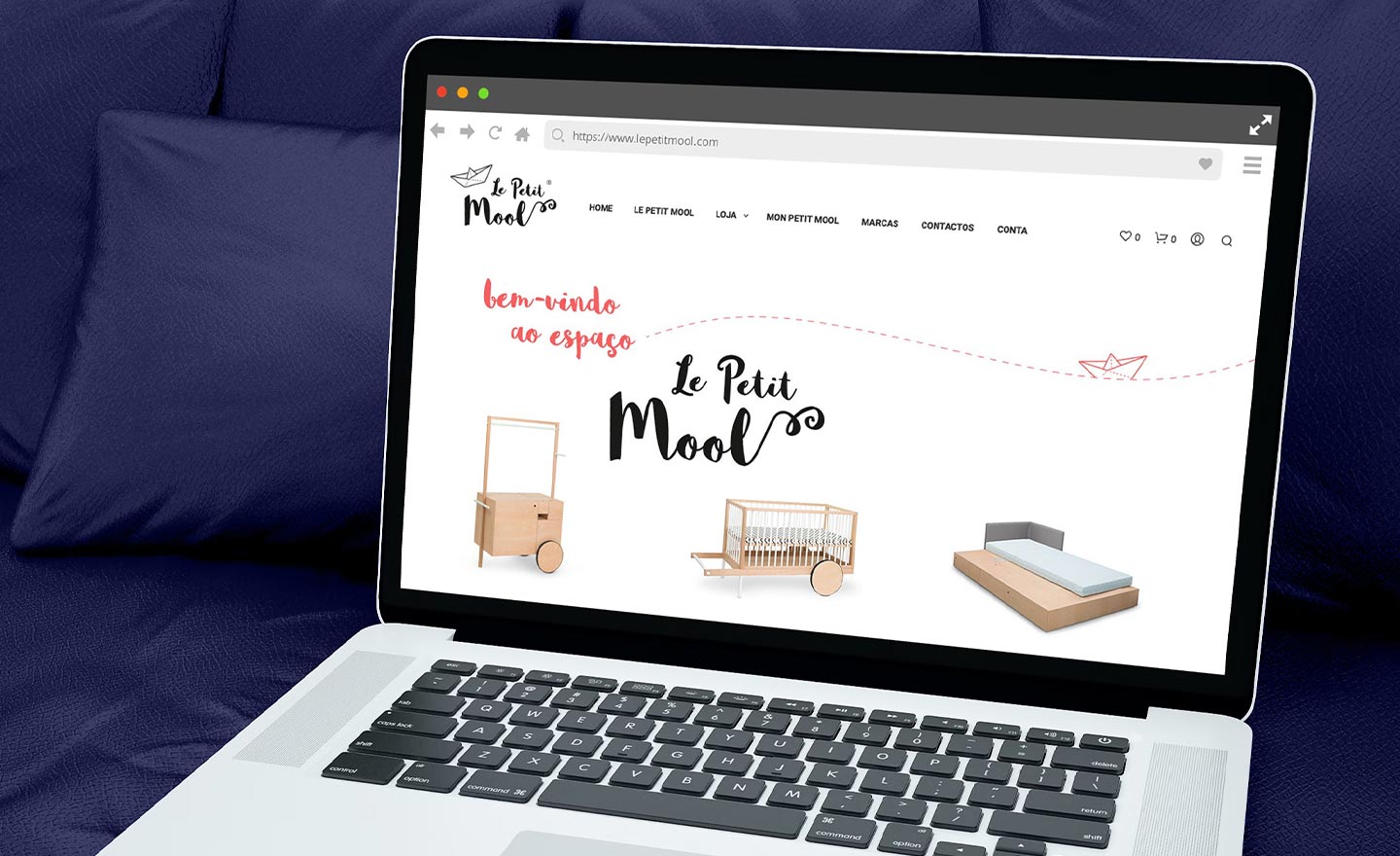 Le Petit Mool website